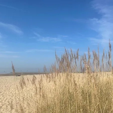 Nordseebrandung B2 1